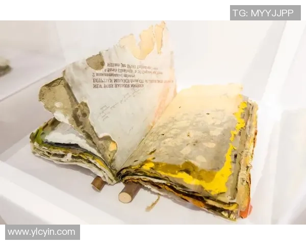 加莱诺的艺术魅力与文化传承探讨：从历史到现代的深度解读