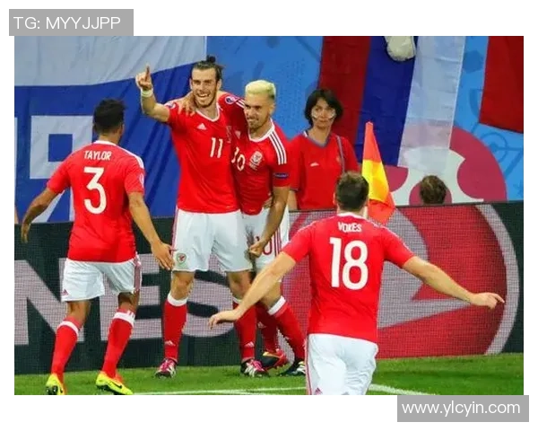 北爱尔兰与瑞士精彩对决直播全程回顾与分析