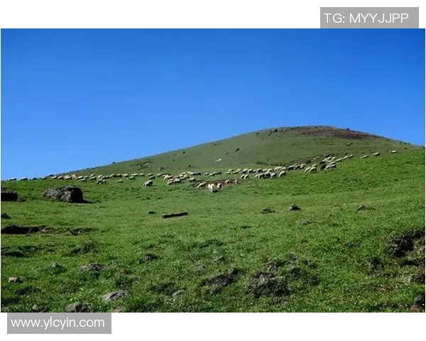 布莱克尼的魅力探秘：历史文化与自然风光的完美融合之旅