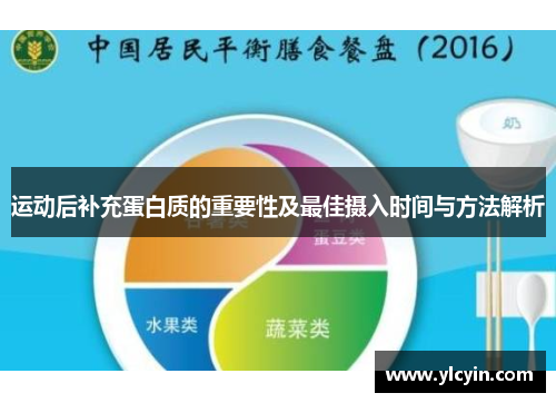 运动后补充蛋白质的重要性及最佳摄入时间与方法解析