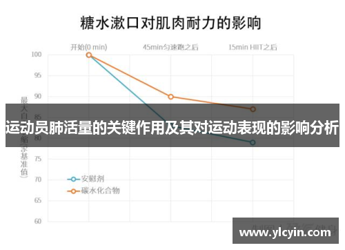 运动员肺活量的关键作用及其对运动表现的影响分析