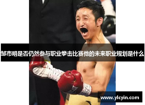 邹市明是否仍然参与职业拳击比赛他的未来职业规划是什么