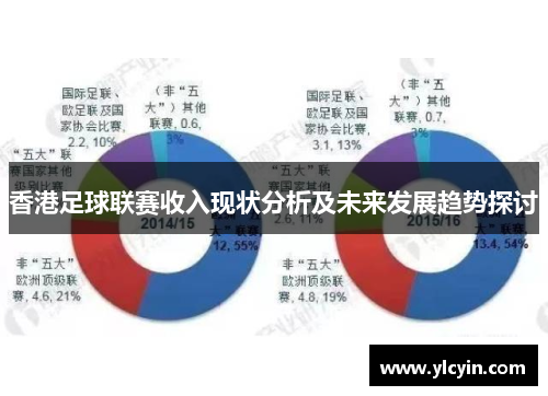 香港足球联赛收入现状分析及未来发展趋势探讨