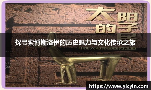 探寻索博斯洛伊的历史魅力与文化传承之旅